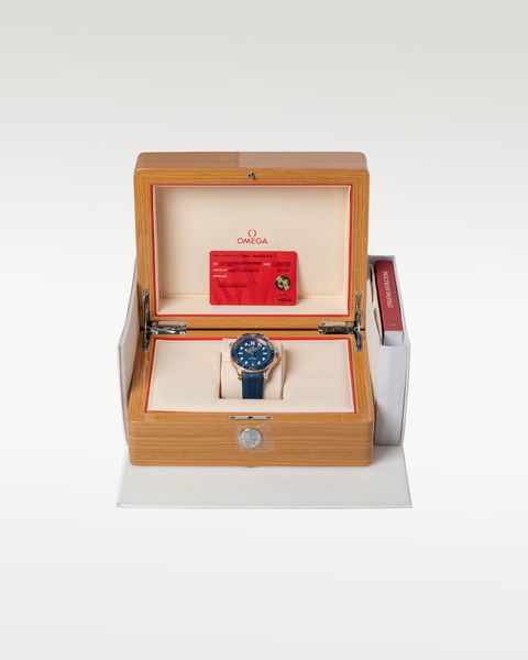 Omega Seamaster Diver 300m 210.62.42.20.03.001